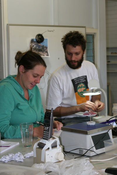 Ben Phillips and Michelle Franklin in the laboratory.