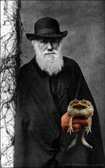 Darwin with toa