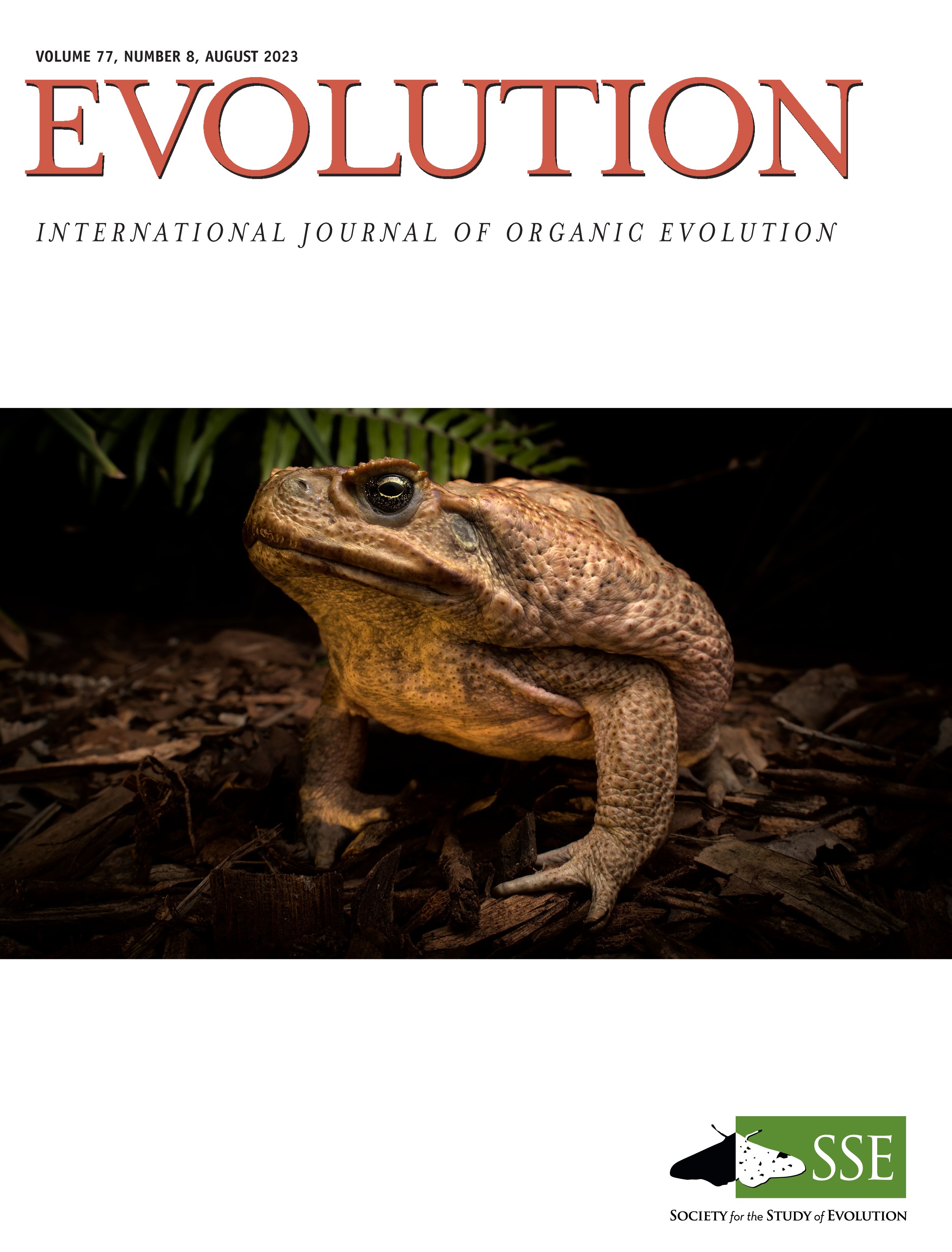 cane toad journal cover