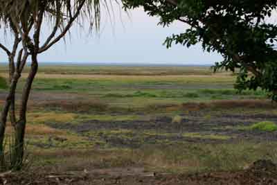 Fogg Dam - flood plain