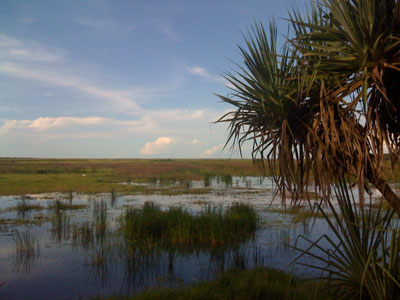 View over the Fogg Dam floodplain