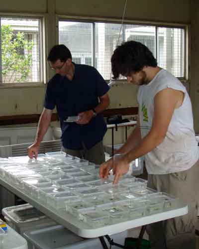 Dr. Michael Crossland and David Nelson.