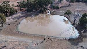 Turkey nest dam