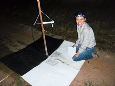 PhD Student, Edna Gonzalez-Bernal PhD Student, Edna Gonzalez-Bernal