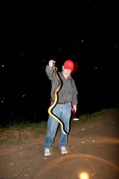 Rick on the Fogg Dam wall with a Water Python