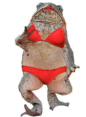 Super sexy toad