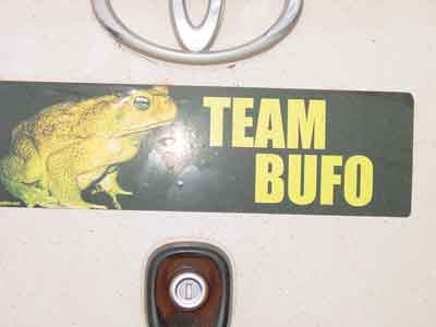 Team Bufo bumper sticker