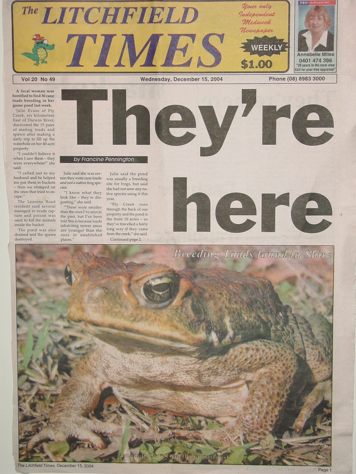 Newspaper report about Cane Toads