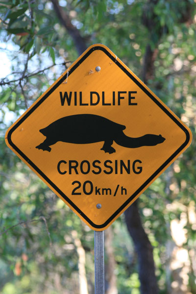 Wildlife crossing sign